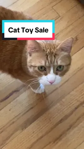 The best babysitter for your cat #cat #cattoy #wfh #pets #kitty #TikTokShop 