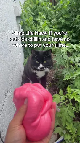 Do try this at home #slime #slimes #slimeshop #fyp #LifeHack #slimehack #slimetutorial #satisfyingslime #cat 