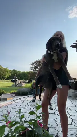 dont worry we only want the treats😉