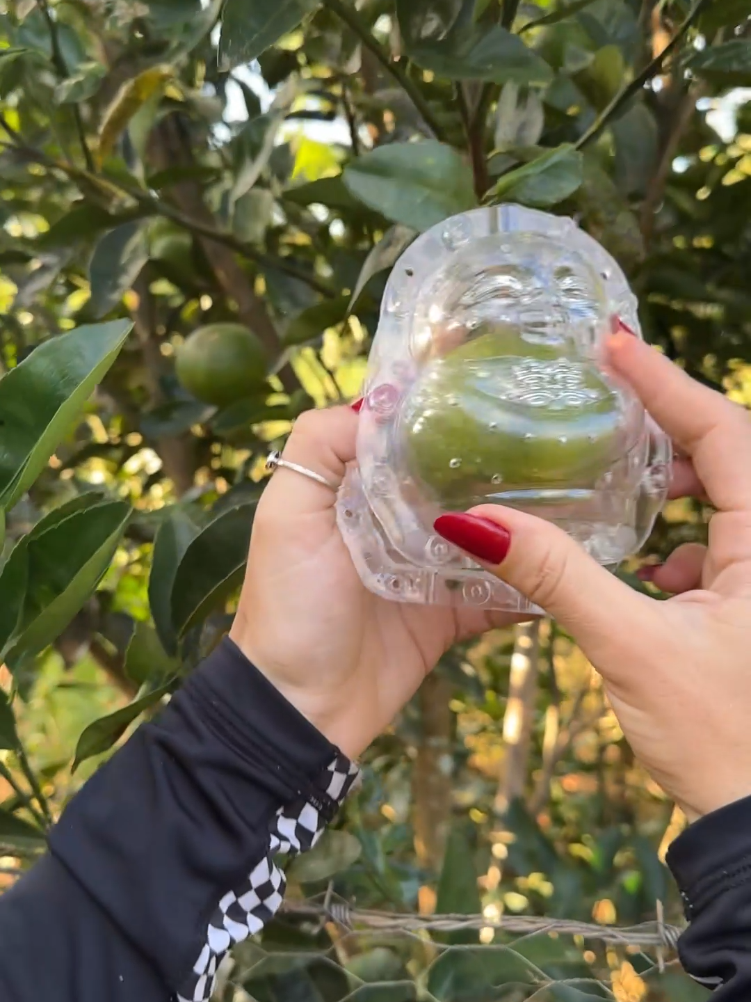 PART 2 - Stranger fruits