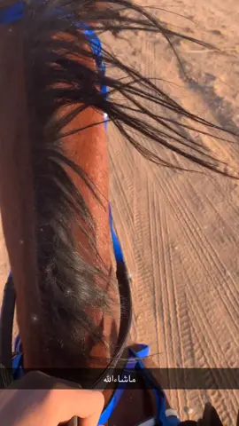 #جسار😞#اكسبلور #CapCut #الشيخ 