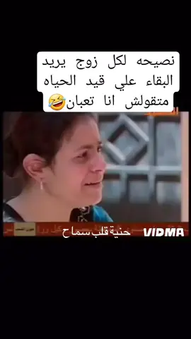 #سماح #سماحة_العشق #سماح_السعيد #حنية #حبايب_قلبي #@Giulio Gallarotti 