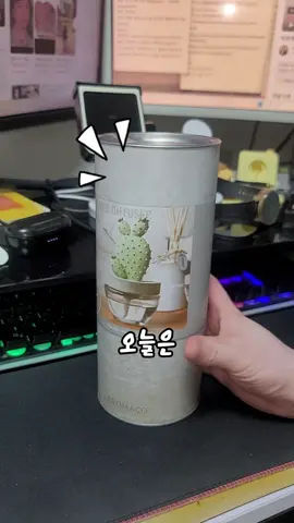 #아로마코 #선인장 #디퓨저 #리뷰 #제품리뷰 