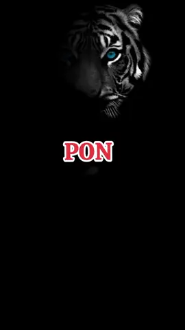 Weton Pon#wetonjawa #idugeni #wetonpon #menyalaabangkuh🔥 