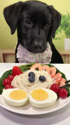 #labrador #Foodie #pets #cute #dog 