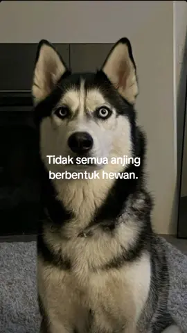 #xyzbaca #fyp #rey #fyppppppppppppppppppppppp 