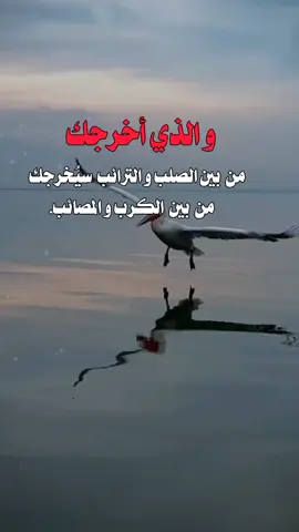 ‏