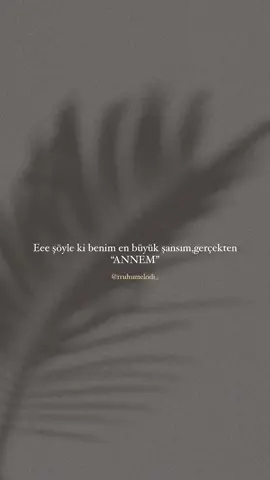 Başımın tacı Anam🤍🪽Bir gün değil bütün həyatını, ömrünü övladlarına həsr etmiş 