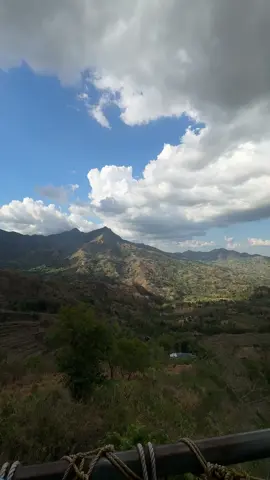 📍Luz Pedros #laag #2024 #bucarileoniloilo 