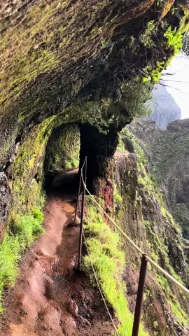 📍PR1 Hike, Madeira, Portugal 🇵🇹 Imagine yourself traversing mountain trails amidst the ancient, untouched beauty of Madeira’s volcanic landscapes. Discover over 100 official hiking trails, catering to every skill level, amidst Europe’s leading island destination, Madeira. Here’s why Madeira is a hiking paradise: 1️⃣ Over 100 diverse hiking trails cater to hikers of all abilities. 2️⃣ Madeira’s volcanic terrain offers breathtaking vistas and varied ecosystems. 3️⃣ Enjoy year-round hiking in Madeira’s mild climate. 4️⃣ Well-marked and maintained trails ensure a safe and enjoyable journey. 5️⃣ From coastal panoramas to lush forests, Madeira offers diverse landscapes for every adventurer. Ready to explore? Book your flight now and immerse yourself in the wonders of Madeira’s trails. 🥾 #IslandAdventure #NatureTrail #ExploreMadeira #HikeLife #OutdoorExploration #TrailBlazers #NatureLovers #VolcanicLandscape #MountainMagic #HikingDestination #AdventureAwaits #TrailSeeker #ExploreNature #OutdoorEscapes #HikingParadise #MadeiraHiking #VisitMadeira #hikingadventure #hikingparadise #MadeiraIsland 