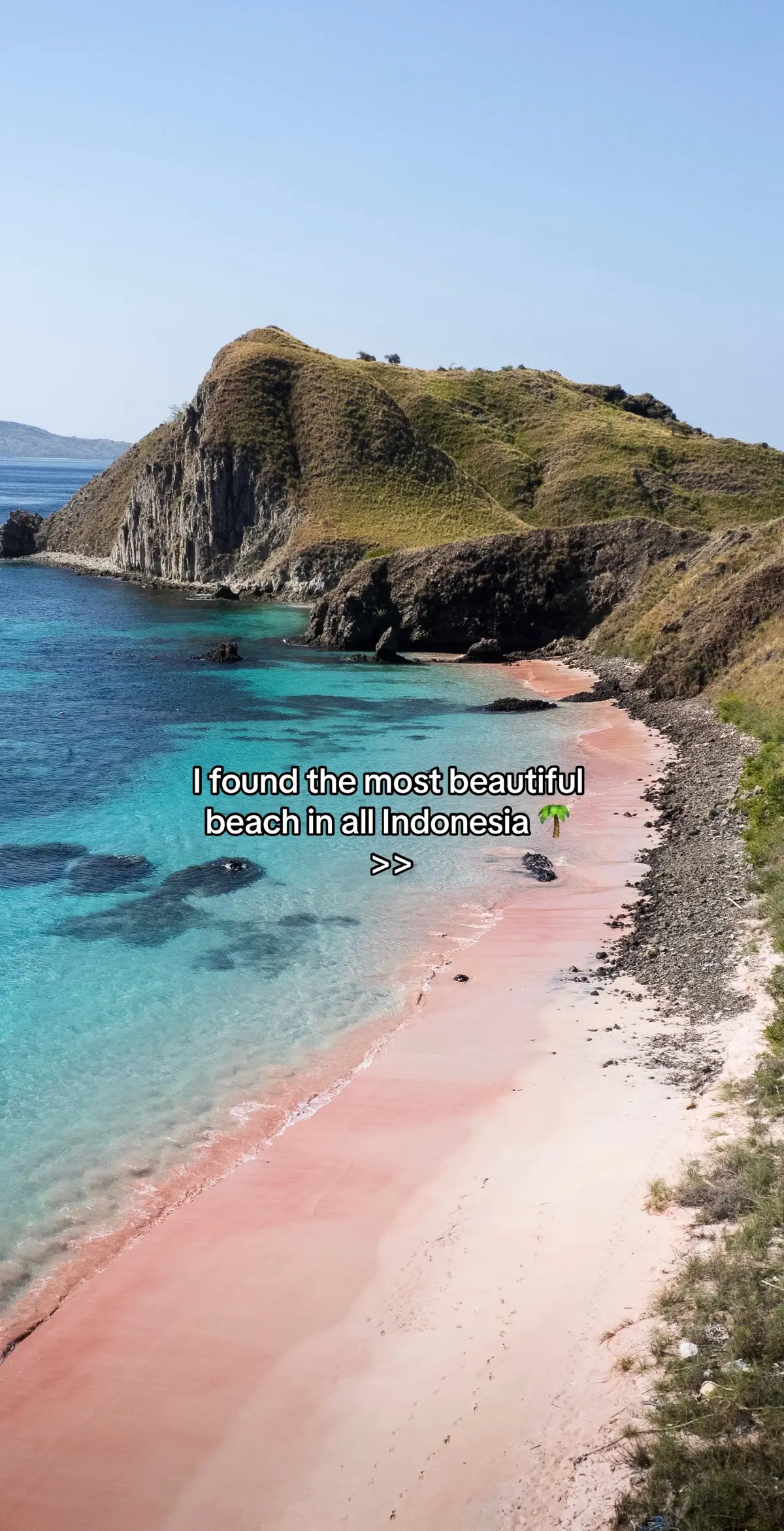 #pinkbeach #komodo #indonesia #beach #photography 