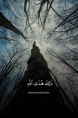 📖QS.Az-Zumar [22-23] // ❤️🎧🫀 //Sheikh Muhammad Al-Luhaidan