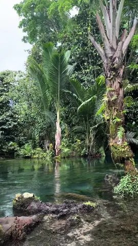 Everywhere you look, theres beauty. Trutru Bilas Peles #discoverpng🇵🇬 #localtourism #Dalom #newirelandprovince #bilaspeles🌴🌊 #papuanewguinea🇵🇬 