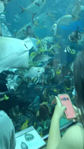 Ambil Aja vidionya buat bahan Qustion, sw atau prank kawan 