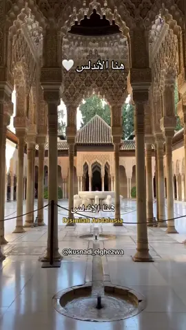 هنا الأندلس 🤍 Andalus #andalus #cordoba #granada #sevilla #espana #spain #spanyol #andalusia #morocco #fyp #viralvideo 