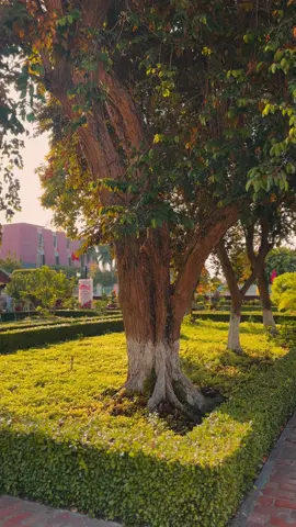 TRƯỜNG DỤC THANH - PHAN THIẾT Dục Thanh - Phan Thiết chính là nơi Nguyễn Tất Thành với tư cách là người thầy giáo, bằng tâm huyết, tình cảm của mình đã truyền đạt những kiến thức văn hóa và khơi dậy tinh thần yêu nước, thương dân cho thế hệ trẻ. Dục Thanh - Phan Thiết cũng chính là nơi đã chứng kiến những tháng ngày Nguyễn Tất Thành suy nghĩ, trăn trở về tình cảnh đất nước và thể hiện sâu sắc tình yêu nước, thương dân của Người, thôi thúc Người quyết tâm ra đi tìm con đường đúng đắn nhất để giải phóng dân tộc. Chính vì thế, sự kiện Nguyễn Tất Thành dạy học tại trường Dục Thanh có ý nghĩa quan trọng trong việc nghiên cứu về tiểu sử, sự nghiệp cách mạng của Chủ tịch Hồ Chí Minh, góp phần khẳng định thời thanh niên yêu nước và quyết tâm ra đi tìm đường cứu nước của Người. #vietnam #phanthiet #binhthuan 