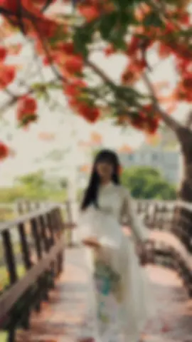 Mấy nay tui cứ bay bay bay…bay cả chục cái clip òi đoá🤣.                                                                      #nhachaymoingay #nhacremix #nhacremixtrending #nhacremixhay #nhacremixtiktok #xuhuong #xuhuongtiktok #xuhuong2024 #xh #xhtiktok 