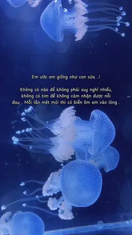 Mong thế giới luôn dịu dàng với em …!#tamtrang #xuhuong #fyp #1_9_9_8radio #foryou #tinhyeu #viral 