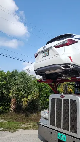 #highrail #snowbirds 