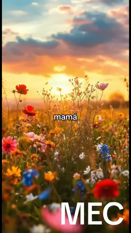 #Cómo Pagarte? Song by Carlos Rivera#happymothersday #loveinlife❤️❤️❤️ #Mama #mecmadewithlove #foryoupage #parati #viraltiktok #enjoy #fanpage #lyricsvideo #