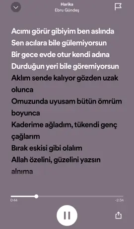 Ebru Gündeş Harika #ebrugündeş #harika #spotify #şarkı @48 AEZ 495 ❤️‍🔥 