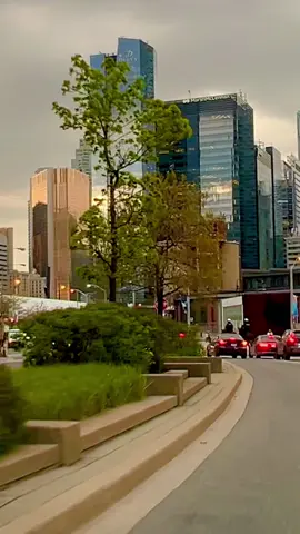 Beautiful city 🍁🍁🇨🇦🇨🇦🤟🤟💔💔👌👌💃💃#travelcanada🇨🇦 #canada_life🇨🇦 #canada #torontotiktok #city #blessed_with_this_beautyful_view💙🌤️☀️ #itstorontocanada #viraltiktok #torontodowntown🔥🇨🇦canada #fy #fypシ゚viral #foryou #foryoupage #