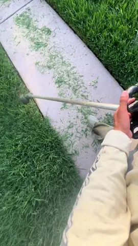 #lawn #lawncare #grass #landscape #satysfying #fyp 