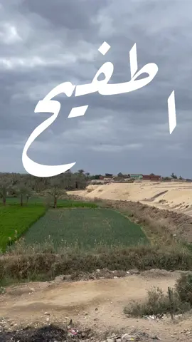 اطفيح محافظه الجيزه  .. #fyp #photography s #photographers #phonephotography #reelsvideo #reelsvideo #reelsinstagram #egyptian #مصر #القاهره #الجيزه #تصويري #تصويري📷 #تصوير #تصوير_فوتوغرافي #ريلز_explor #حقول #green #greens #vintage #sarapopart 