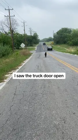 So confused , what was so wrong with him? He is such a good boy. San Antonio Please im drowning. If youre able to donate please share #fyp #dumppeddog #sanantonio #texascheck #straydogs #rescuedog 