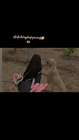 #CapCut #လွမ်းတယ် #fypシ #tiktok #シ #f 