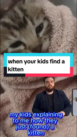 #kittenmemes #kittensoftiktok #catlover #foryoupage #memestiktok #funnycatsoftiktok #animalmemes #MemeCut 