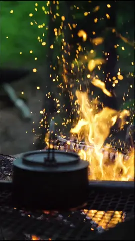 Study nature, love nature, stay close to nature. It will never fail you.🥾🏕️ #outdoorlife #camping #campsite #forest #nature #discovery #campinglife #hikingadventures #adventure 