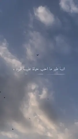 حرٍ بليا قيود 🪽#capcut #شعر #ابيات #حر #طير #سلام 