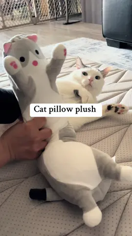 Cat Pillow Plush toy that looks like a real. Check this out now!! #plushpillow #plushie #plushiesoftiktok #catlover #cattoy 
