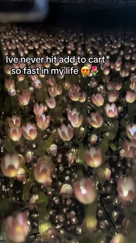 my best purchase of 2024 ❤️😭 #fpy #tulipanes #gift #present 