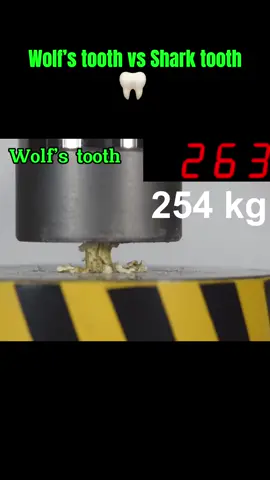 #physics #amazing #fyp 