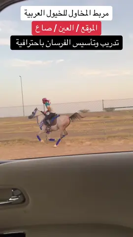 #العين #العين_دار_الزين #بوظبي #دبي #اسطبل #اكسبلور #اكسبلورexplore #المخاول #خيل #الشارقة #صاع #الفجيرة #مزيد #الشعب_الصيني_ماله_حل😂😂 