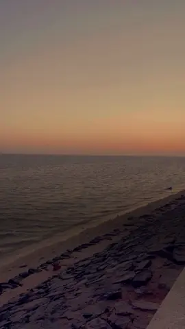 والله ماعاد تدري تصرفات الصغير او تصرفات الكبير #محمد_المقحم #محمد_المقحم_اكسبلووووووور 