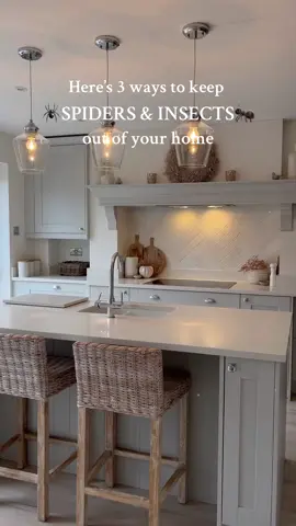 Anyone else had crowds of ants and spiders in their homes recently?! The ants especially have been everywhere so I was a woman on a mission to get them out.  These are 3 ways I have found have helped 🙌🏼  1. Fill a spray bottle half way with water and add 20 drops of peppermint oil. Spiders and insects dislike the smell of peppermint so spray this around windows and doors to keep them out.  2. Fruit flies dislike the smell of white vinegar so put a small bowl of it near your fruit to keep them away. I add a few drops of eucalyptus oil to mask the smell of white vinegar but this isn’t necessary.  3. Adding 10 drops of orange oil, water and a few drops of dish washing liquid to your spray mop is another way to keep crawling insects away too. If you have a mop and bucket then add a tsp dish washing liquid and 20 drops of orange oil to a gallon of warm water.  *Please always research which essential oils you can use if you have pets. . #cleaningtips #cleaningmotivation #cleaningaccount #CleanTok #cleantok101 #cleantokuk 