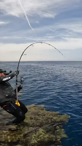 Top water .. 💪🏻💪🏻😉 ….🥷🏻 Rod:  Bullfighter 150  @howkfishing  Reel: Shimano Stella SW10000. @shimanofishing_jp  Leader: shock leader varivas. @varivas_japan  Hooks: @bkk_arabia  @bkkhooksinternational  With Team: @coast_anglers  @mohssine_fishing  #gamefishing #fishing #fishinglife #sportfishing #saltwaterfishing #fishingnz #lures #tuna #gt #lurefishing #topwaterfishing #trevally #fishing #casting #fish #sports #ksa #SaudiArabia #jeddah #monster #fyp #nature #fypシ 