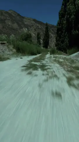 #peterschilling #majortom #völliglosgelöst #lyrics #songlyrics #germanmusic #banger #music #fyp #viral 