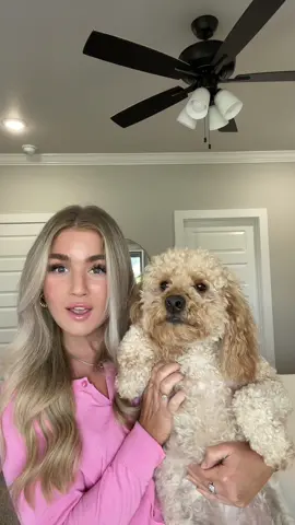 ALL JOKES. 🤣 Happy Mothers day to the DOG MOMS out there!!!!!! ✨🐶🦴🐾🤪 #dogmom #mothersday #goldendoodle #dog #puppy #dogs #doodle #foryou #mothersoftiktok #dogmomlife 