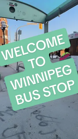 Welcome to Winnipeg Bus Stop! #welcometowinnipeg #winnipeg #winnipegbusstop #busstop #funny #manitoba #comedy #satire #bananapeel #banana #viral #fyp #followjesus