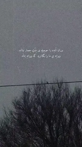 #crazy_smile007 #حسبی_الله_ونعم_الوکيل❤️‍🔥 #تاجیک_هزاره_ازبک_پشتون_ترکمن🇦🇫 #viral #fyp #lovely 