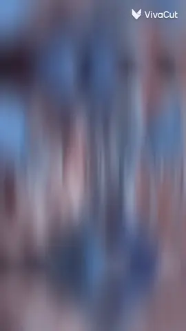 #مشاهير_تيك_توك @دلوعتهن🌹 @اࢦـشـي͟sــٰٰٰٖٖۧخـه♡ @آسہيہنہآتہ آلرؤحہ @شُعٌبًآنِيَةآحًلَآهّنِ❤ @مزيونة هاشمية,,🥰 