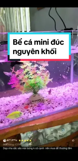 Bể cá mini đúc nguyên khối để bàn làm việc, văn phòng #bểcamini #cácanh #thuỷsinh #xuhuong #viral #fyp #vmtshop