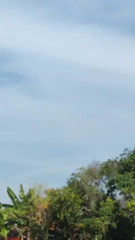 Habis gelap terbitlah Nuraini #3bersaudara #warungmbaknur 