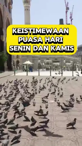 Keistimewaan puasa hari senin dan kamis #harisenin #senin #kamis #harikamis #puasa #puasaseninkamis #muslim #muslimah #hijrah #makkah #masjidilharam #umroh #fyp 