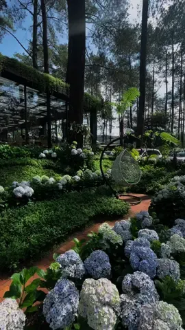 Bandung emang gaada abisnya🌸💖 @Lapinea Cafe & Resto  #cafebandung #cafeasthetic #lapineacafe #lapineacafecikole #cafelembang #fypシ゚viral #lapinea 