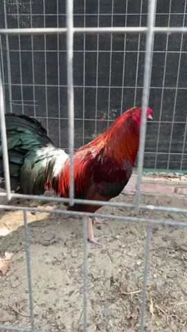 Chúc anh em buổi chiều vui vẻ h.p ấm áp bên gia đình 